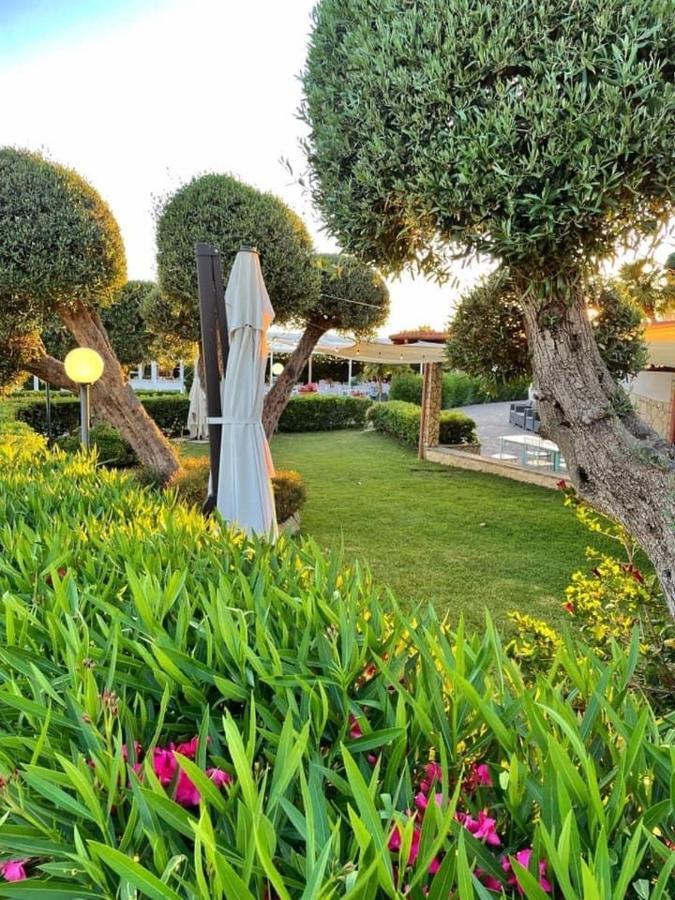 شيفيتافيكْيا Villalessandra المظهر الخارجي الصورة